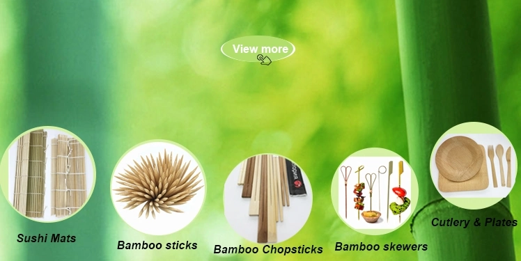 Economical Super Cheap Disposable Bamboo Toothpick