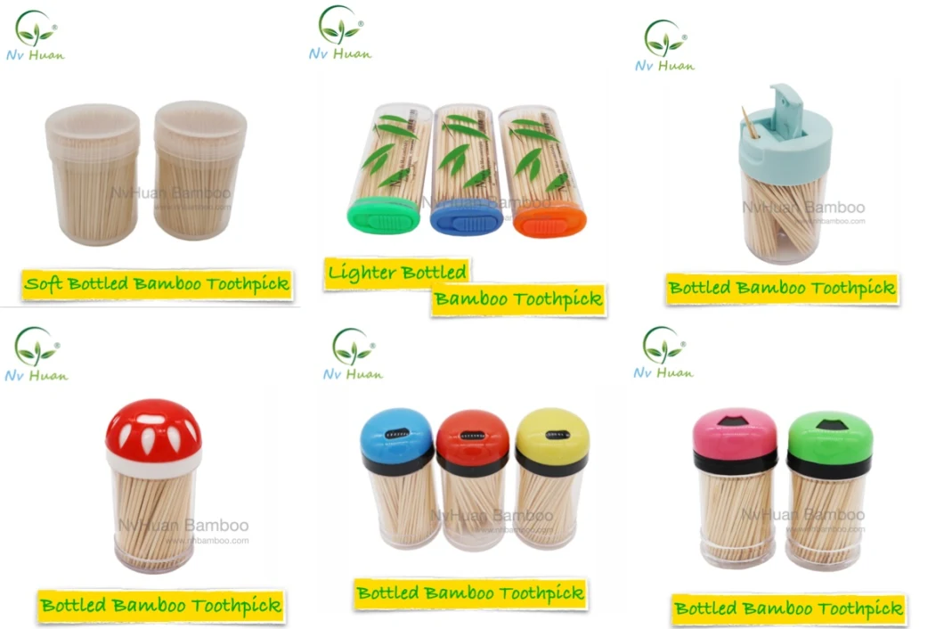 Individual Plastic Wrap Bamboo Toothpick